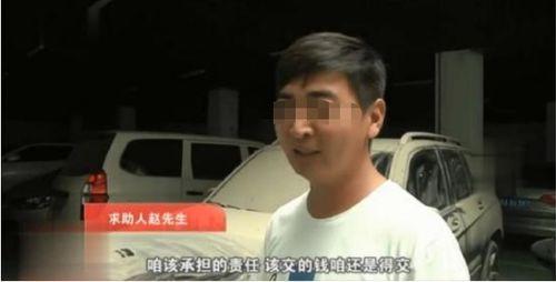 沈阳网友赵先生爆料视频,惊现神秘事件！